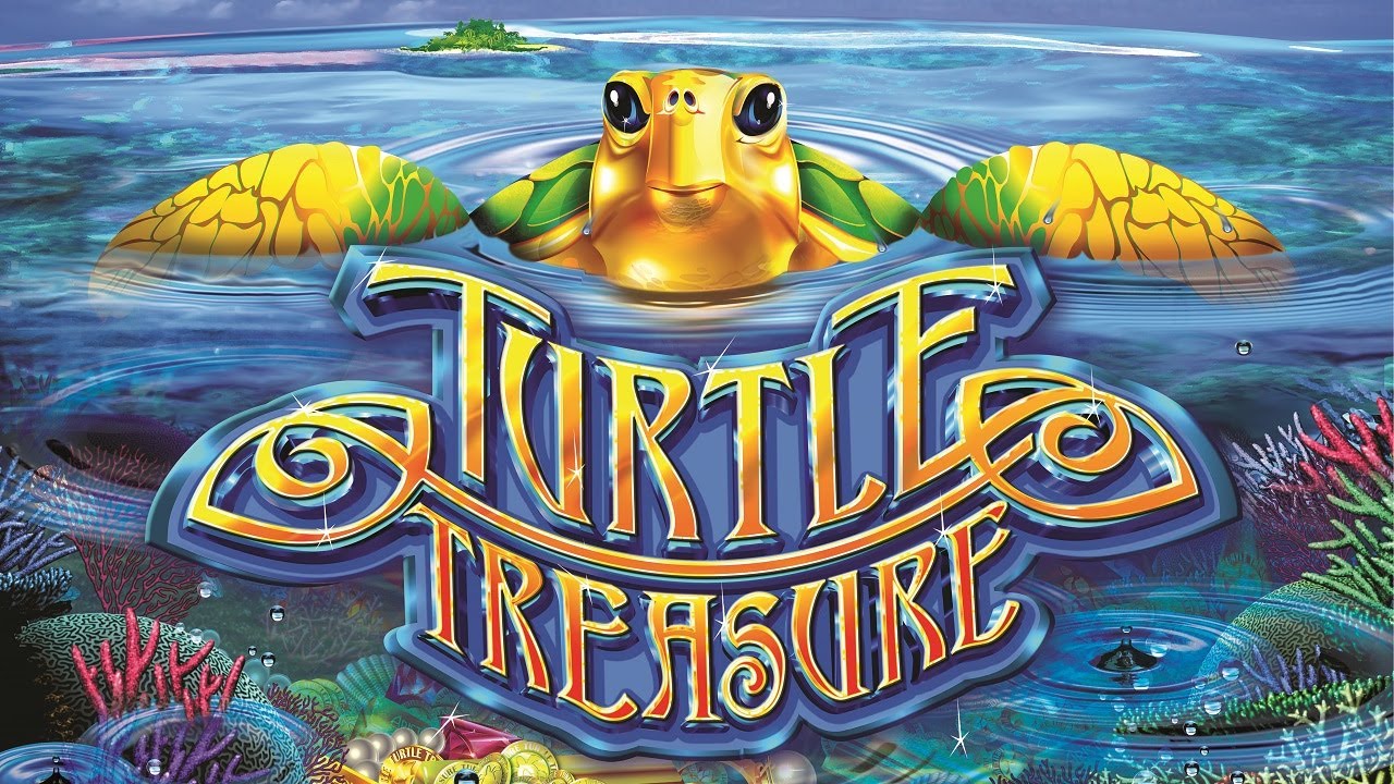 Mr Turtle